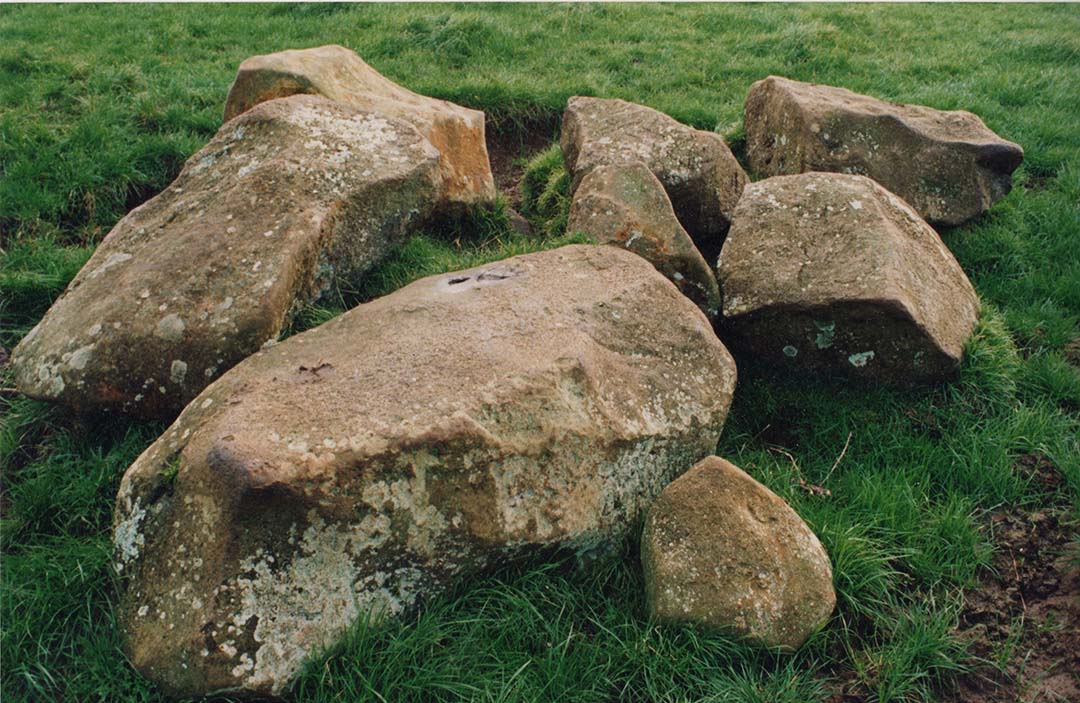 A picture containing grass, outdoor, rock, megalith  Description automatically generated