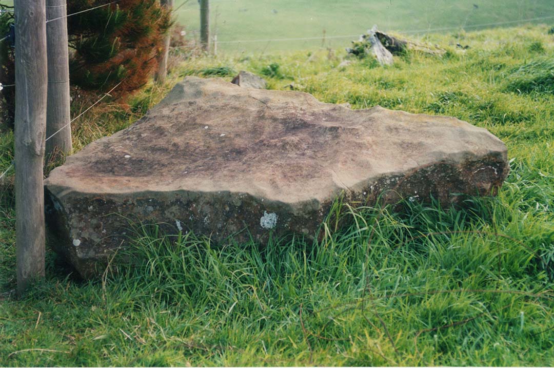 A picture containing grass, outdoor, tree, megalith  Description automatically generated