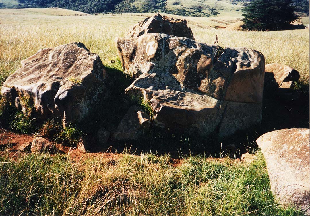 A picture containing grass, outdoor, rock, field  Description automatically generated