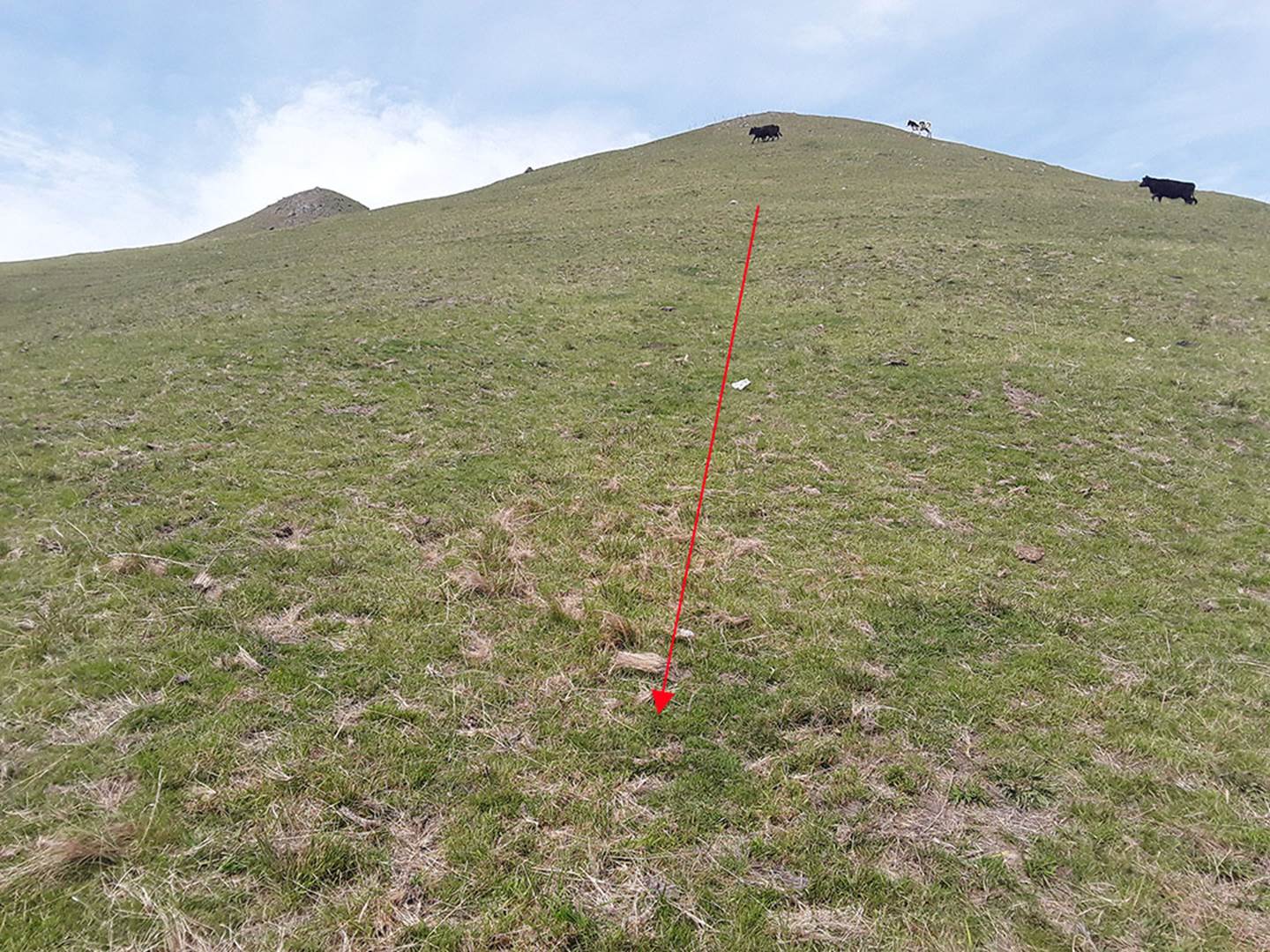 A sign on a grassy hill

Description automatically generated